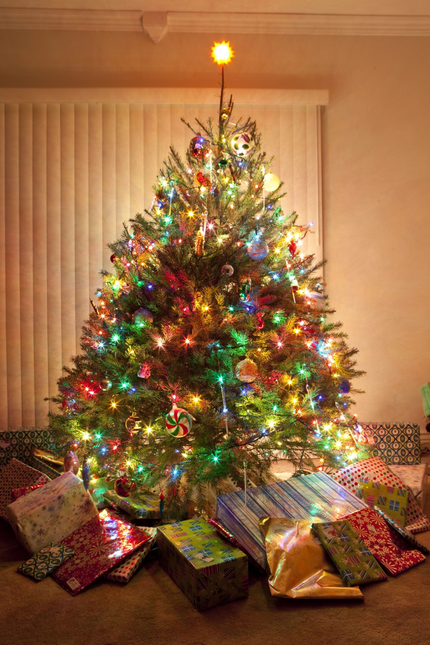 Traditional Living Room with a Generously Sized Christmas Tree Traditional Living Room with a Generously Sized Christmas Tree — Christmas Tree with Colored Lights