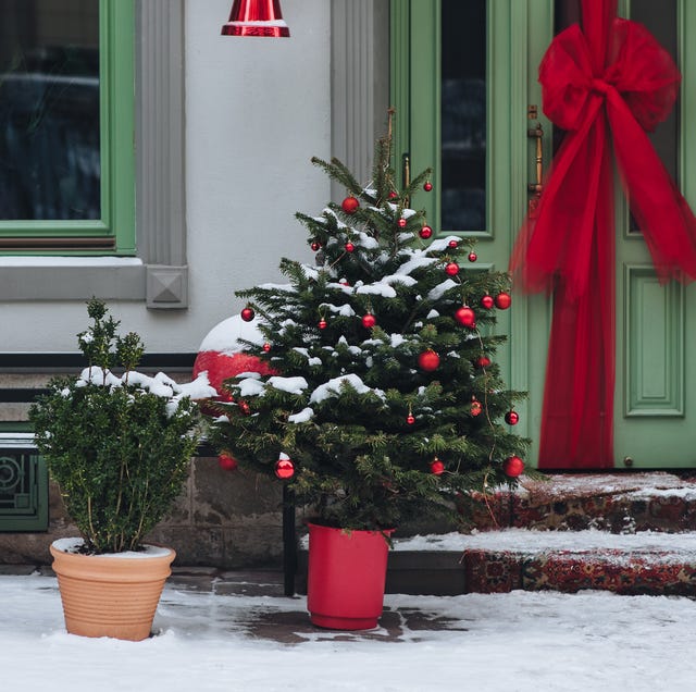 Festive Doorway with Snow-Dusted Christmas Trees and a Bold Bow — Simple Christmas Outdoor Decor