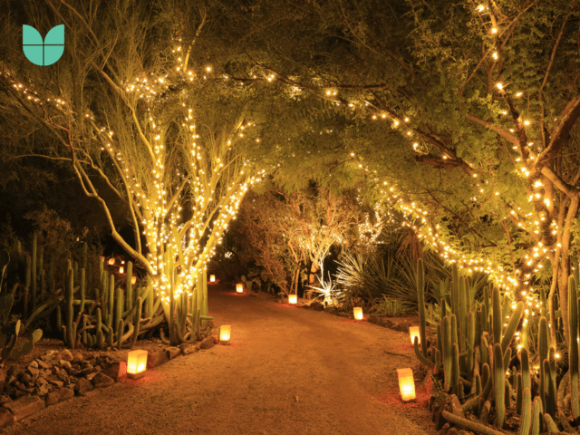 Enchanted Garden Path with String Lights and Lanterns Enchanted Garden Path with String Lights and Lanterns — Outdoor Christmas Lights