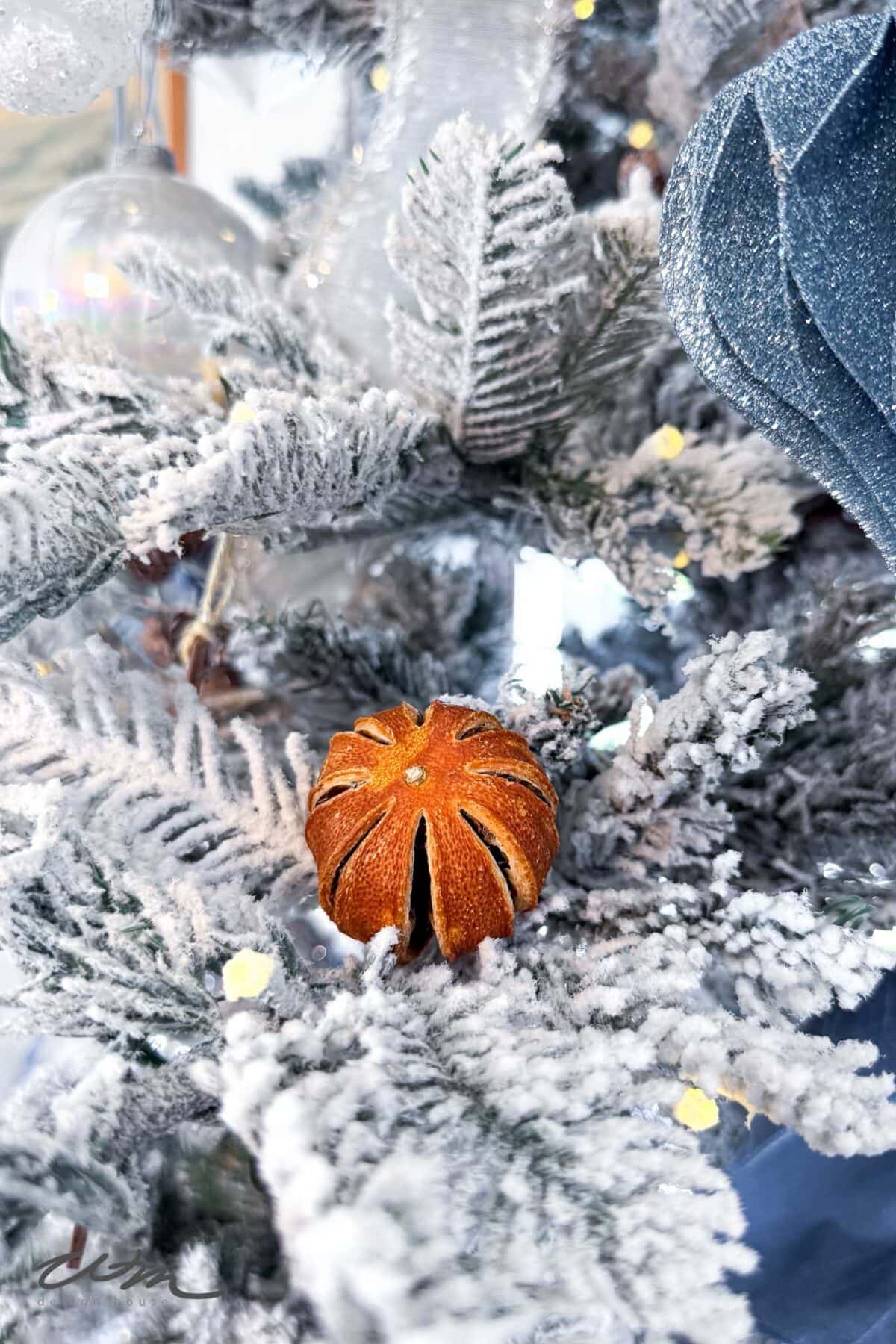 Aesthetic Christmas Tree Detail with Dried Orange Ornament Aesthetic Christmas Tree Detail with Dried Orange Ornament — Aesthetic Christmas Decor
