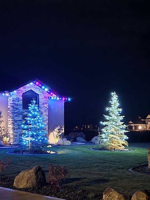 Vibrant Yard with Multicolor Lights on House and Trees Vibrant Yard with Multicolor Lights on House and Trees — Outdoor Christmas Lights