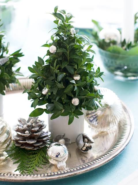 Miniature Boxwood Trees with Silver Ornaments — Christmas Centerpiece