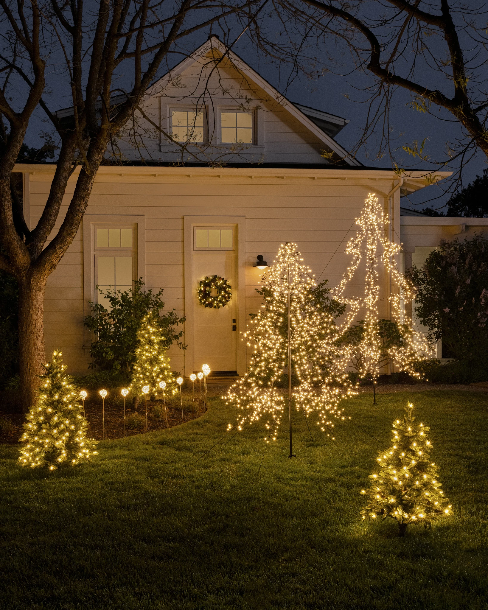 Magical Lawn with Multiple Illuminated Christmas Trees Magical Lawn with Multiple Illuminated Christmas Trees — Outdoor Christmas Lights