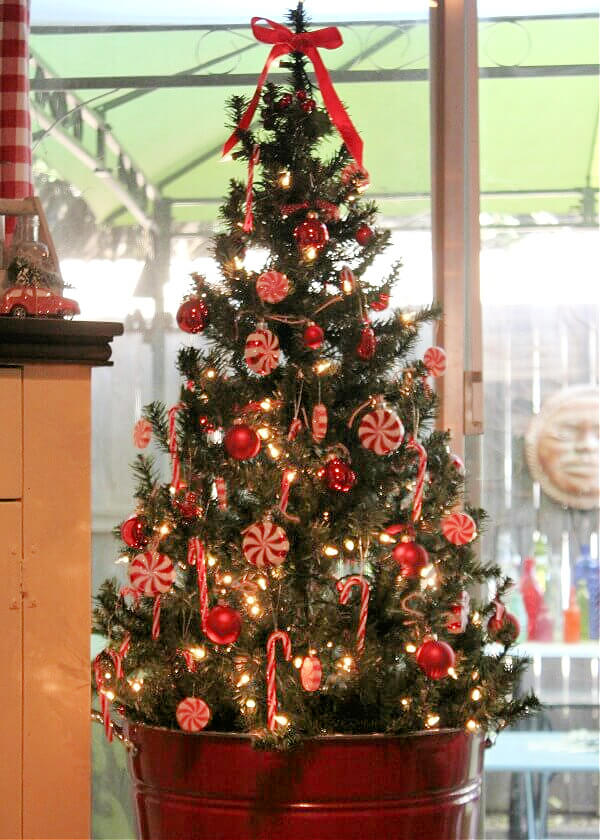 Vibrant Christmas Tree in a Red Bucket Planter — Candy Cane Christmas Tree
