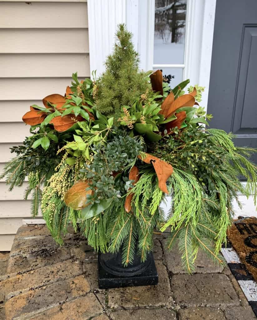 Large Stone Planter with Mixed Evergreen and Small Tree Large Stone Planter with Mixed Evergreen and Small Tree — Christmas Porch Planters