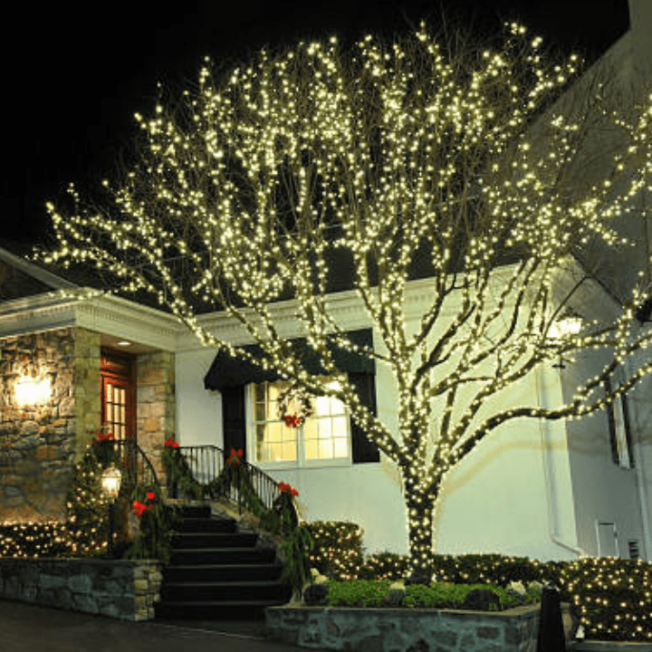 Stunning House Entrance with Fully Illuminated Tree Stunning House Entrance with Fully Illuminated Tree — Outdoor Christmas Lights