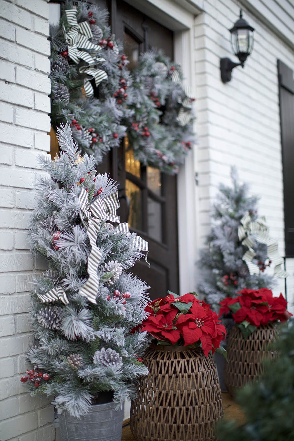 Flocked Christmas Trees with Striped Ribbons and Red Poinsettias Flocked Christmas Trees with Striped Ribbons and Red Poinsettias — Christmas Front Door Decor