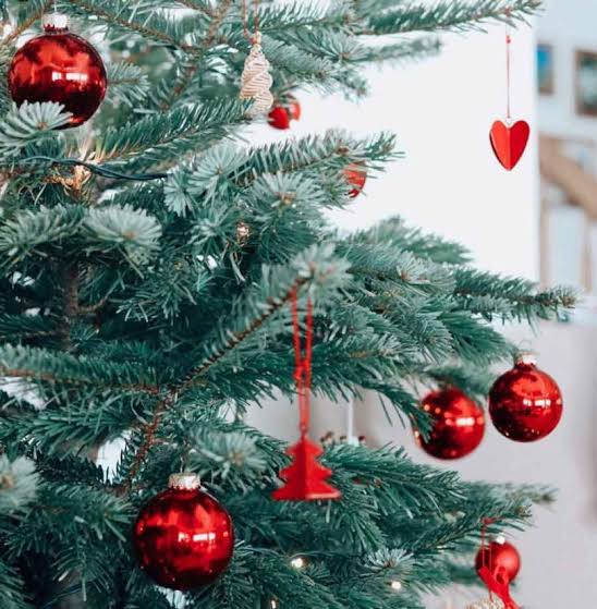 Vibrant Red Baubles and Wooden Details for a Traditional Feel Vibrant Red Baubles and Wooden Details for a Traditional Feel — Christmas Tree Themes