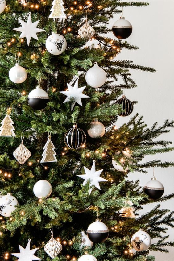 Close-Up: Black and White Striped Baubles with Gold Stars Close-Up: Black and White Striped Baubles with Gold Stars — Black and Gold Christmas Tree