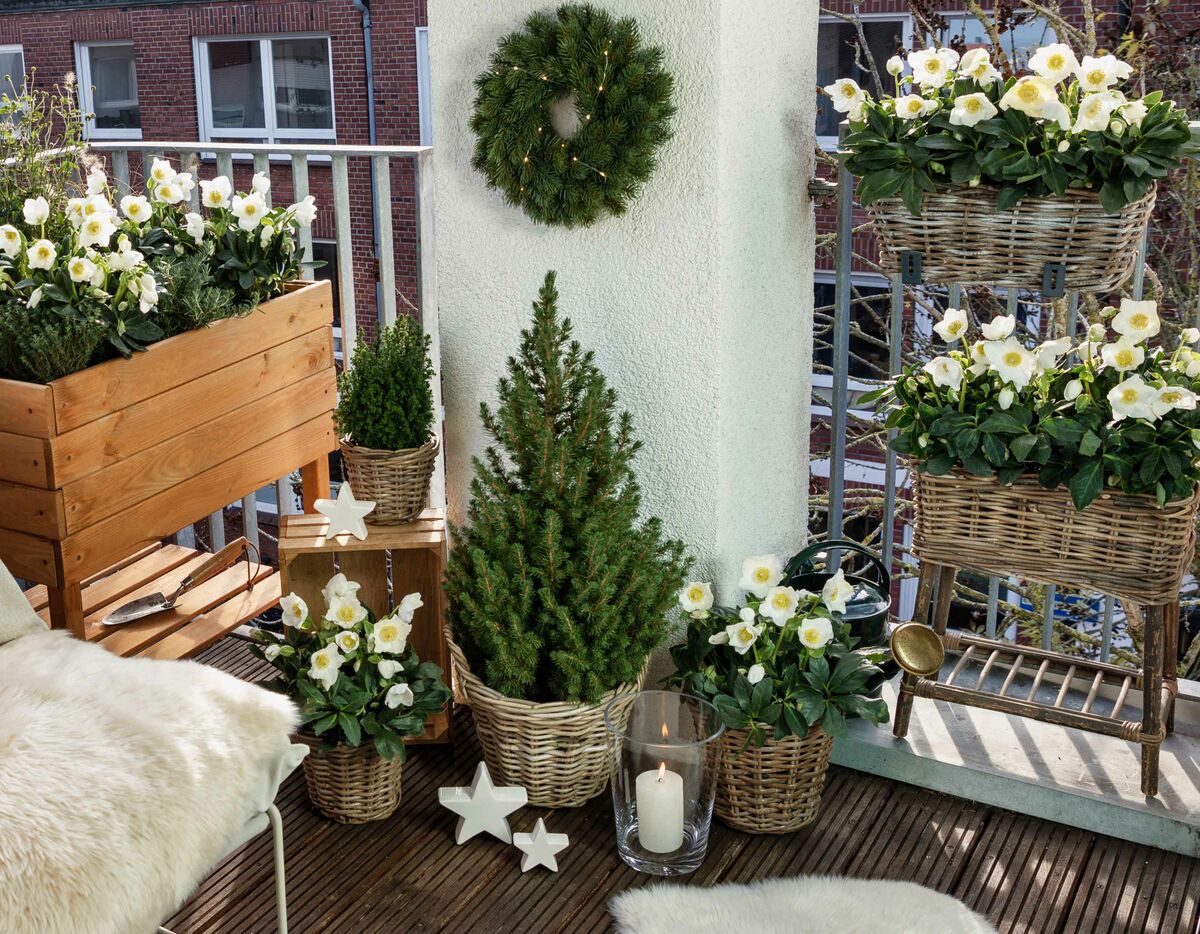 Boho Balcony with Natural Greenery and White Flowers Boho Balcony with Natural Greenery and White Flowers — Christmas Balcony Decor