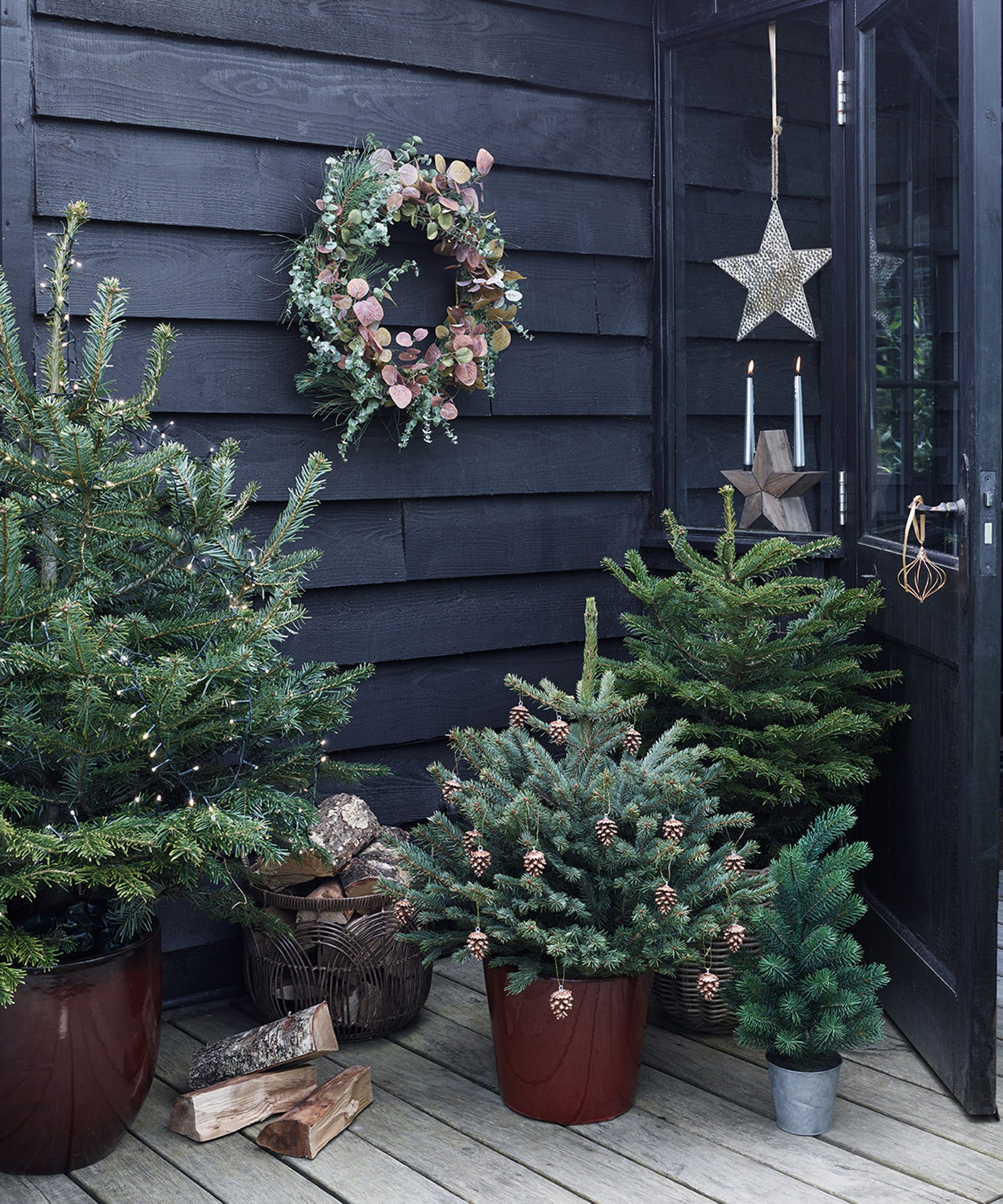 Covered Porch with Potted Fir Trees and Eucalyptus Wreath Covered Porch with Potted Fir Trees and Eucalyptus Wreath — Christmas Yard Decor