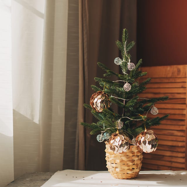 Natural Christmas Tree in Wicker Basket with Gold Ornaments — Small Christmas Tree Decor