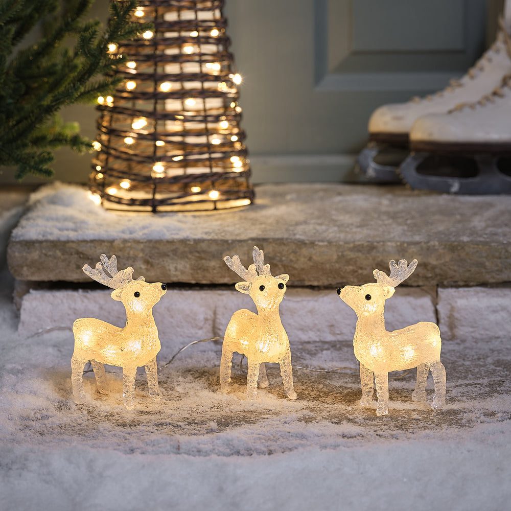 Festive Porch with Illuminated Reindeer and Wicker Cone Tree Festive Porch with Illuminated Reindeer and Wicker Cone Tree — Outdoor Christmas Lights