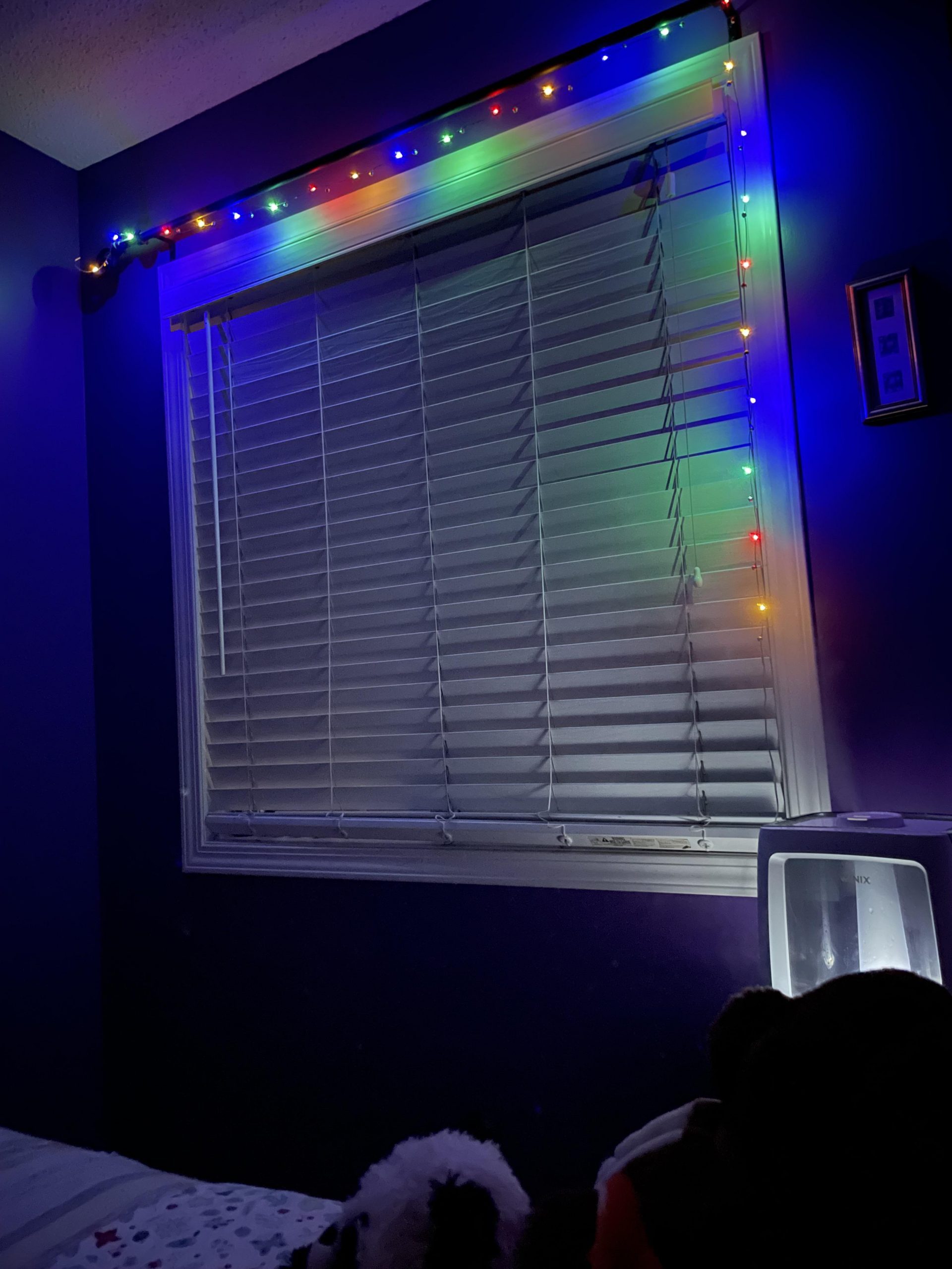 Corner Visual Idea — Christmas Fairy Lights Window