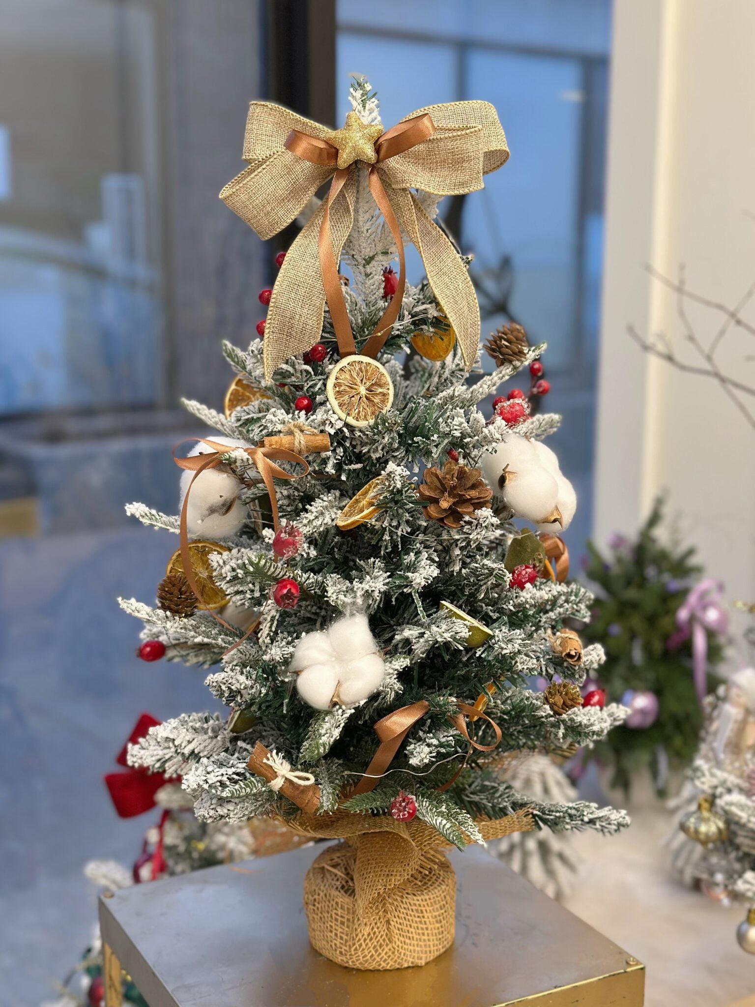 Tabletop Christmas Tree 20Inch - Citrus