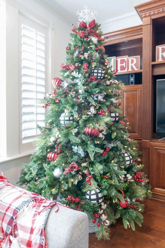 Traditional Christmas Tree with Red and Green Accents in a Shelved Room Traditional Christmas Tree with Red and Green Accents in a Shelved Room — Red and Green Christmas Tree