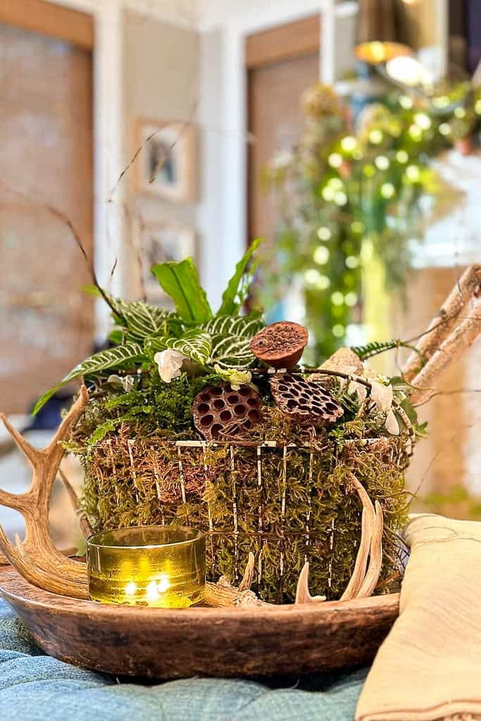 Natural Rustic Vignette with Moss Basket and Antlers Natural Rustic Vignette with Moss Basket and Antlers — Winter Home Decor